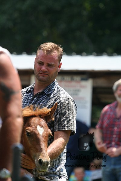 ponypenning_072811_0676.JPG