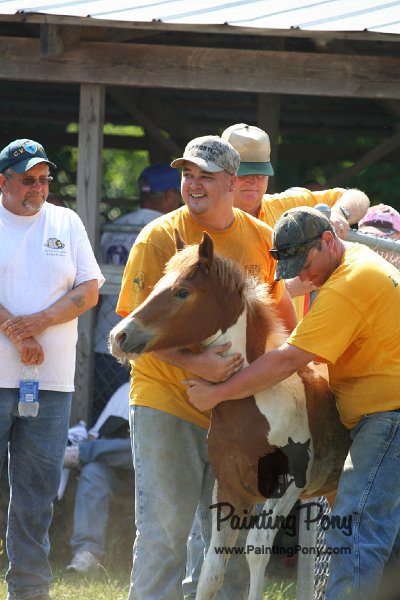 ponypenning_072811_0680.JPG