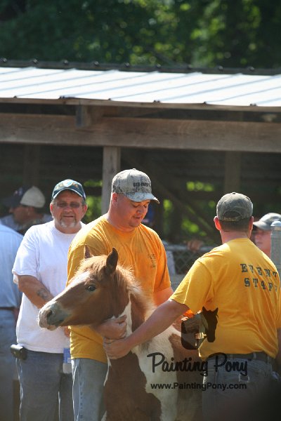 ponypenning_072811_0683.JPG