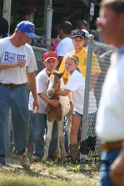 ponypenning_072811_0691.JPG