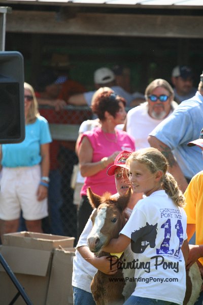 ponypenning_072811_0693.JPG
