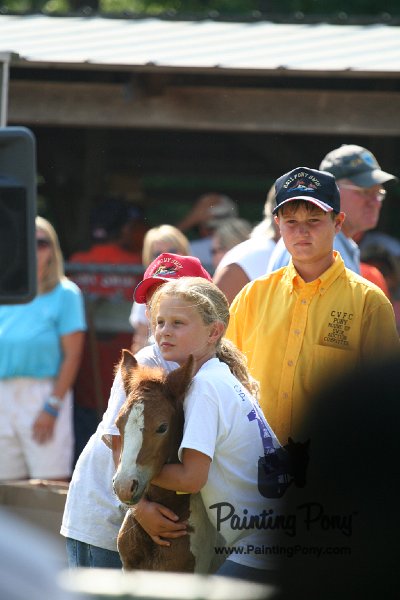 ponypenning_072811_0695.JPG