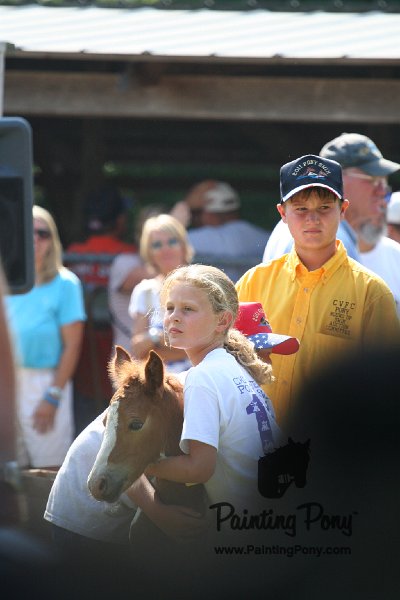 ponypenning_072811_0696.JPG