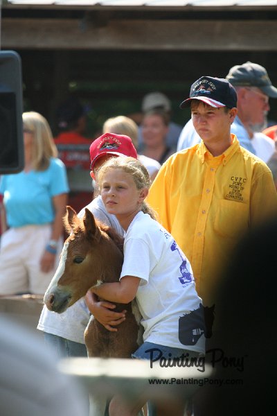 ponypenning_072811_0697.JPG