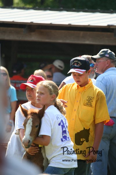 ponypenning_072811_0698.JPG