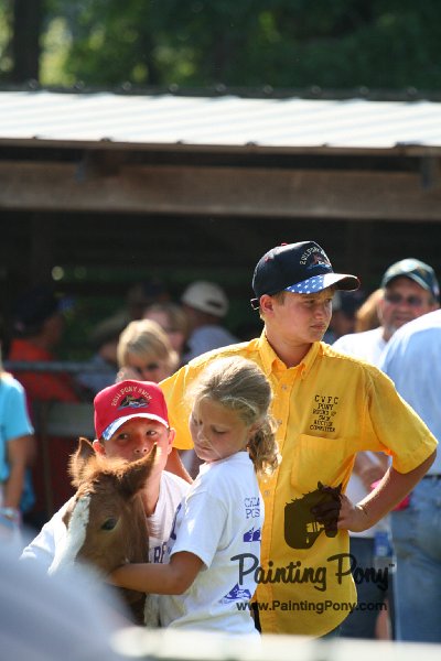 ponypenning_072811_0702.JPG