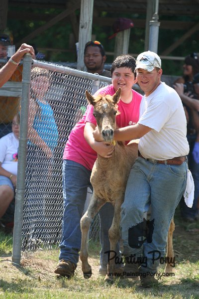 ponypenning_072811_0703.JPG
