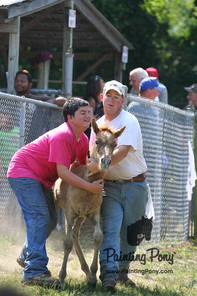 ponypenning_072811_0705.JPG