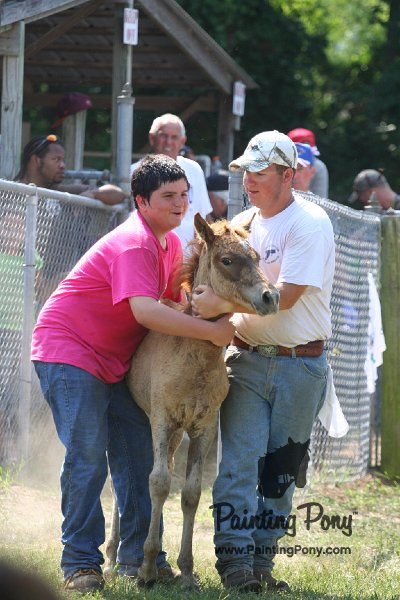 ponypenning_072811_0706.JPG