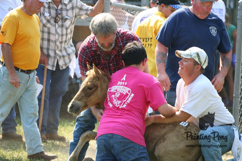 ponypenning_072811_0709.JPG
