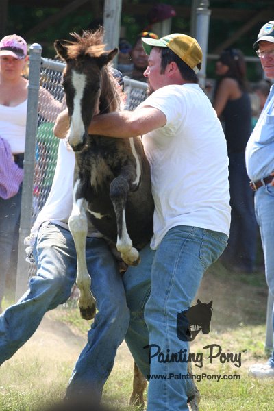 ponypenning_072811_0715.JPG