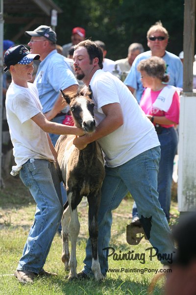 ponypenning_072811_0718.JPG