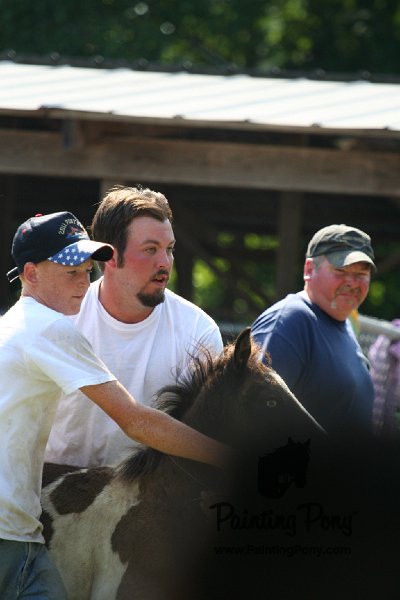 ponypenning_072811_0720.JPG