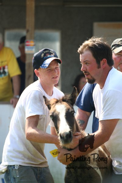 ponypenning_072811_0722.JPG