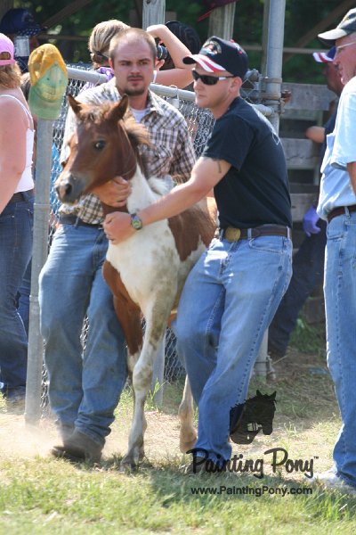 ponypenning_072811_0724.JPG