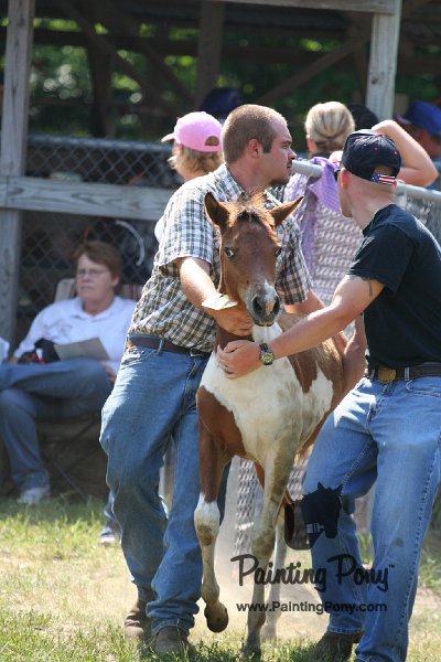 ponypenning_072811_0725.JPG
