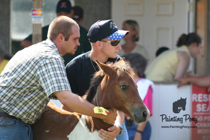 ponypenning_072811_0734.JPG