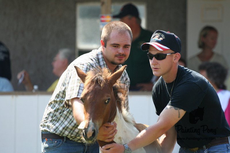 ponypenning_072811_0735.JPG