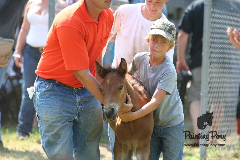 ponypenning_072811_0737.JPG