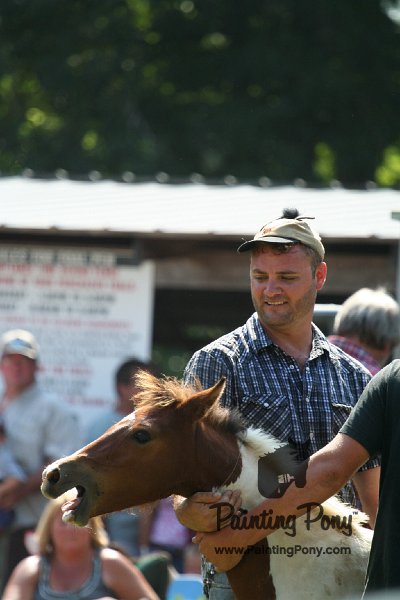 ponypenning_072811_0741.JPG