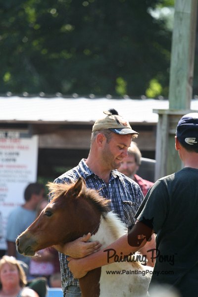 ponypenning_072811_0744.JPG