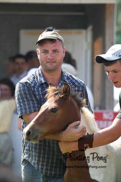 ponypenning_072811_0749.JPG