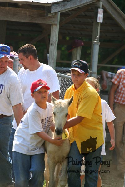 ponypenning_072811_0758.JPG