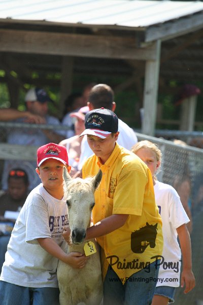 ponypenning_072811_0760.JPG