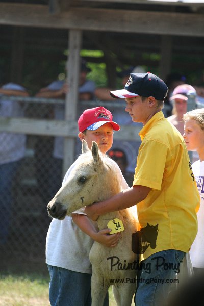 ponypenning_072811_0761.JPG