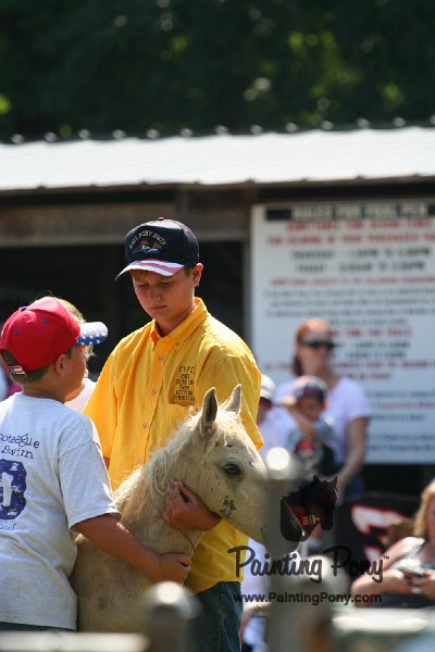 ponypenning_072811_0763.JPG