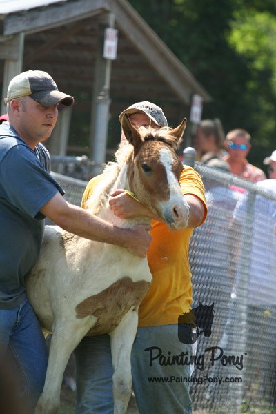 ponypenning_072811_0765.JPG