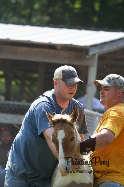 ponypenning_072811_0766.JPG