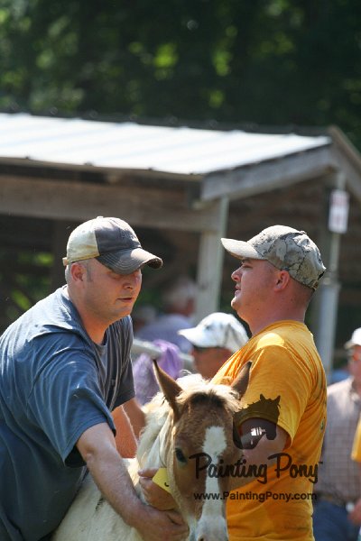 ponypenning_072811_0767.JPG