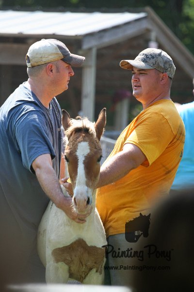 ponypenning_072811_0768.JPG