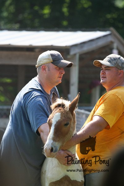 ponypenning_072811_0769.JPG