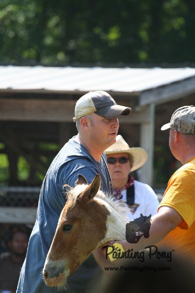 ponypenning_072811_0770.JPG