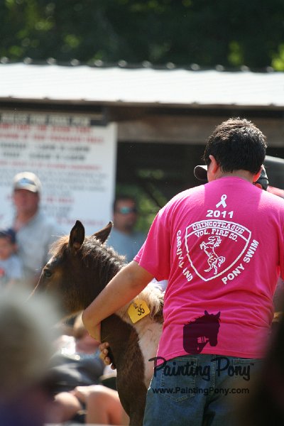 ponypenning_072811_0771.JPG