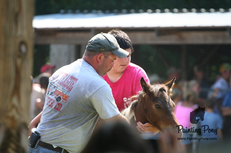 ponypenning_072811_0772.JPG