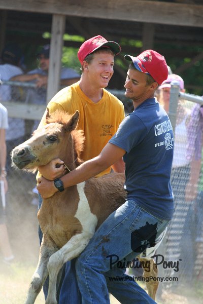 ponypenning_072811_0777.JPG