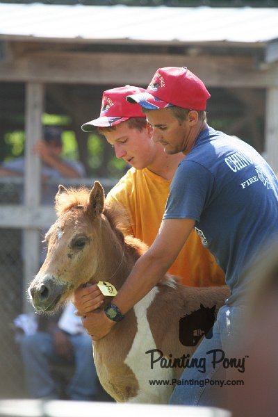 ponypenning_072811_0779.JPG