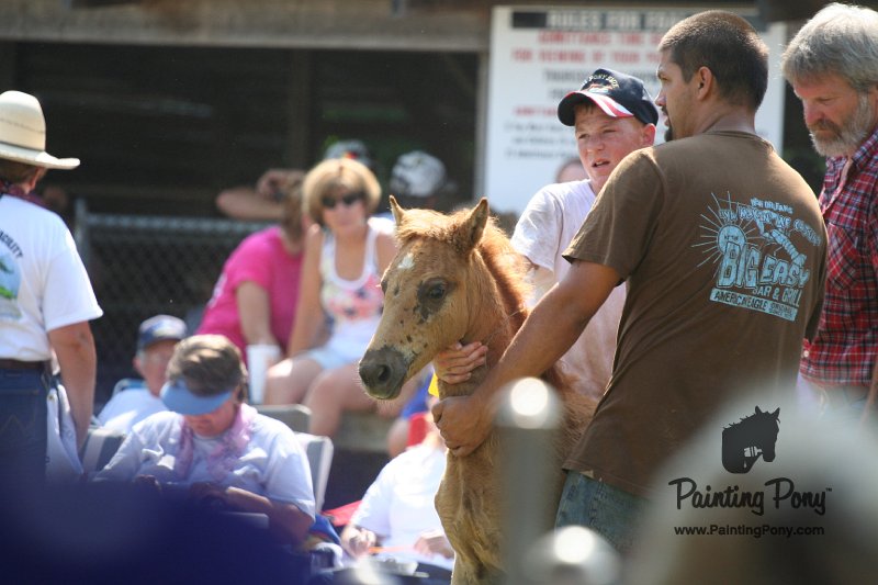 ponypenning_072811_0783.JPG