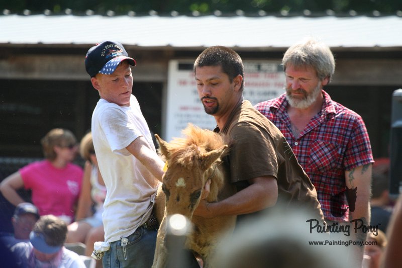 ponypenning_072811_0785.JPG