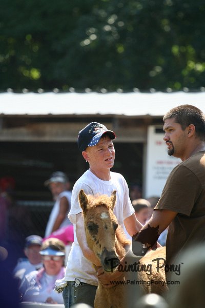 ponypenning_072811_0786.JPG