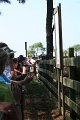 ponypenning_072611_004