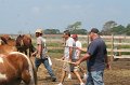 ponypenning_072611_025