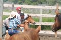 ponypenning_072611_027