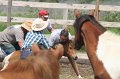 ponypenning_072611_028