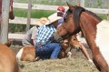ponypenning_072611_029