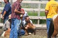 ponypenning_072611_031