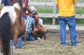 ponypenning_072611_034